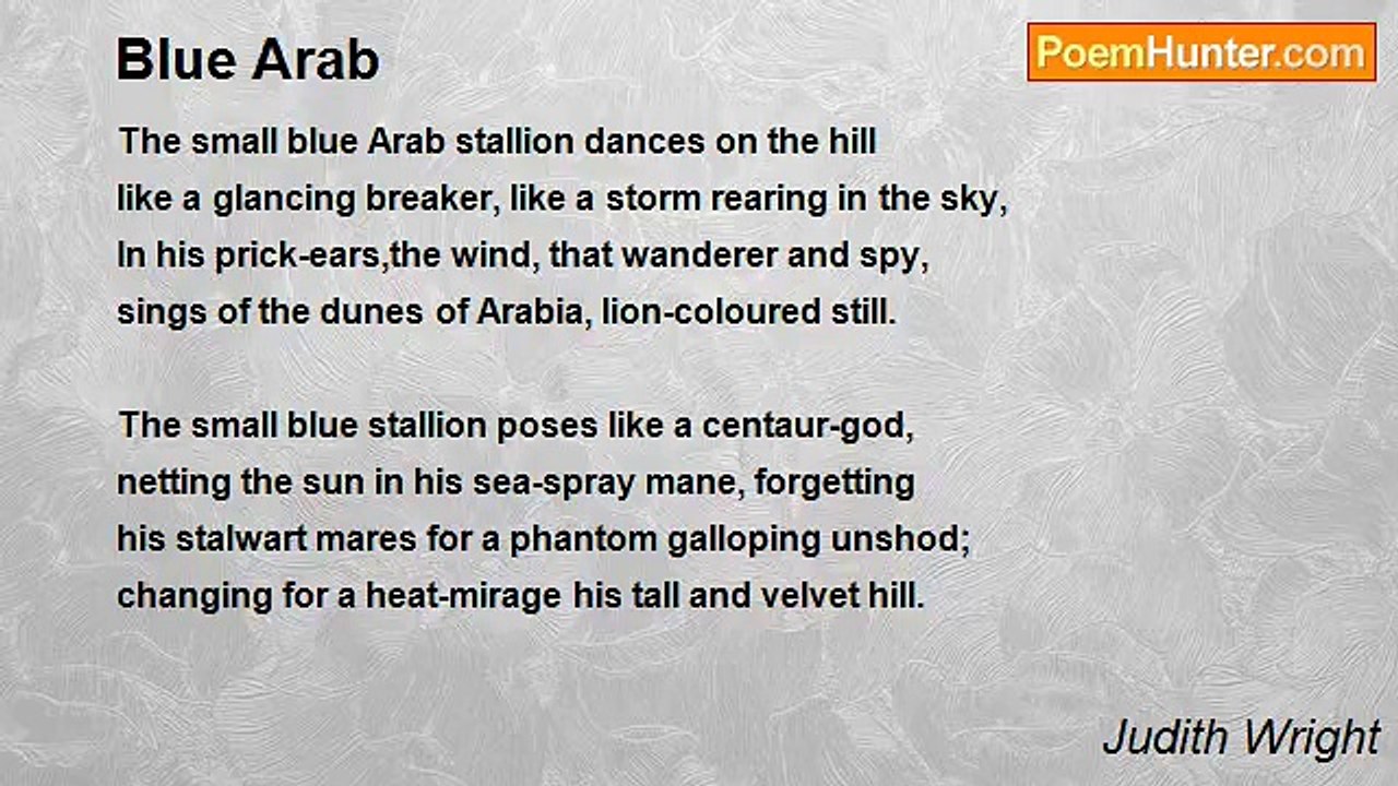 Judith Wright - Blue Arab