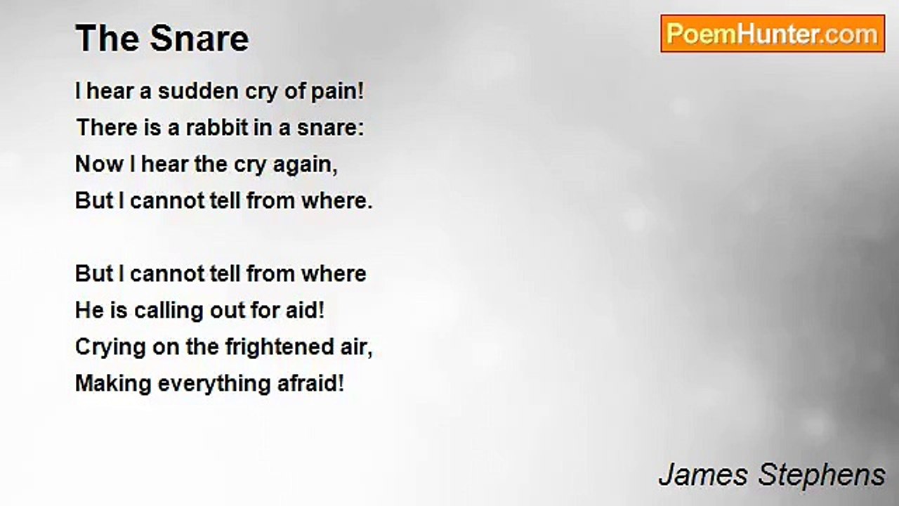 James Stephens - The Snare