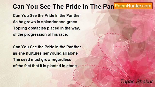 Tupac Shakur - Can You See The Pride In The Panther?