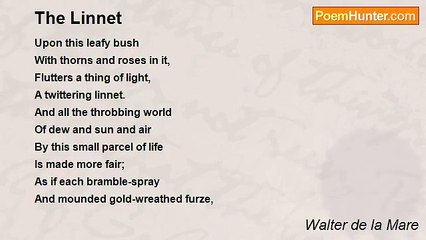 Walter de la Mare - The Linnet