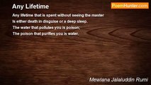 Mewlana Jalaluddin Rumi - Any Lifetime