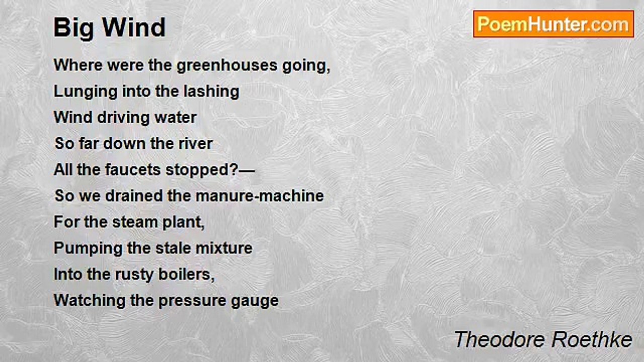 Theodore Roethke - Big Wind
