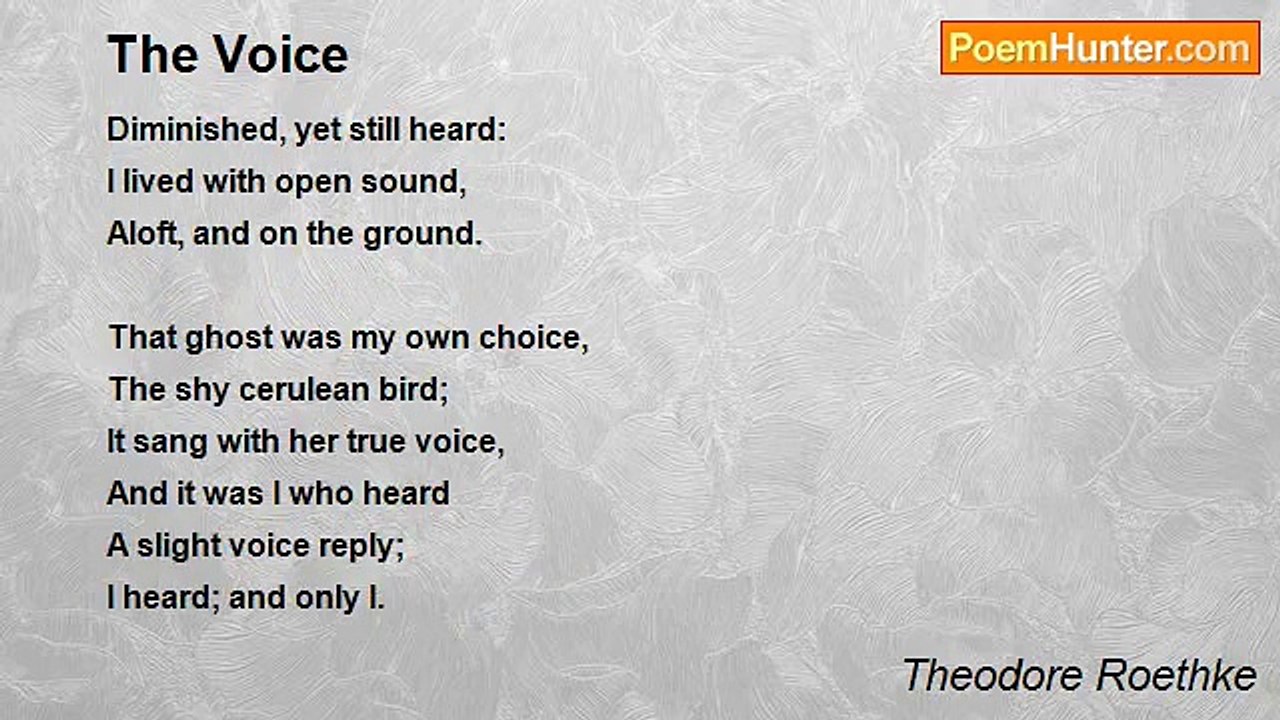Theodore Roethke - The Voice