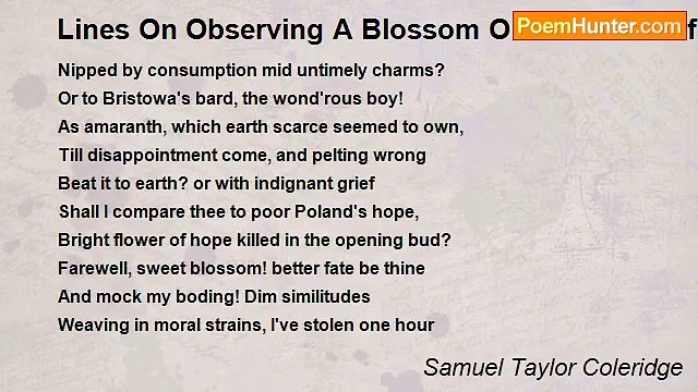 Samuel Taylor Coleridge - Lines On Observing A Blossom On The First Of February, 1796