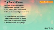 Ann Taylor - The Gaudy Flower