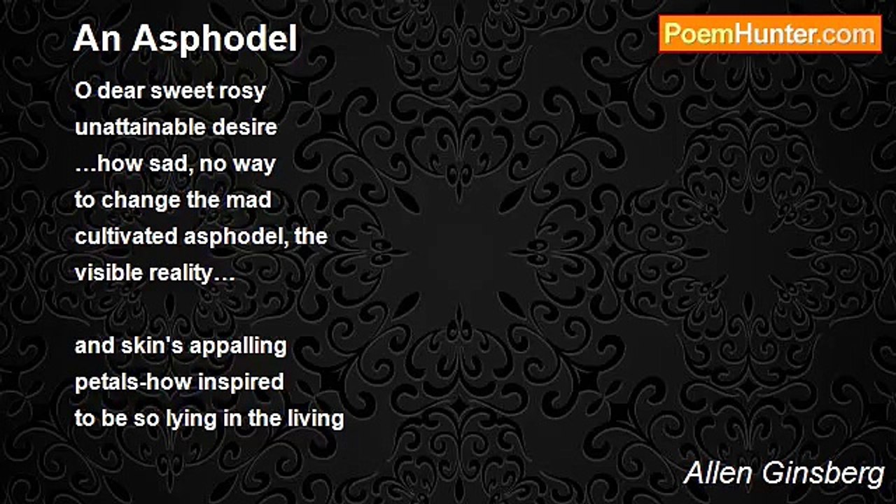 Allen Ginsberg - An Asphodel