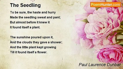 Paul Laurence Dunbar - The Seedling