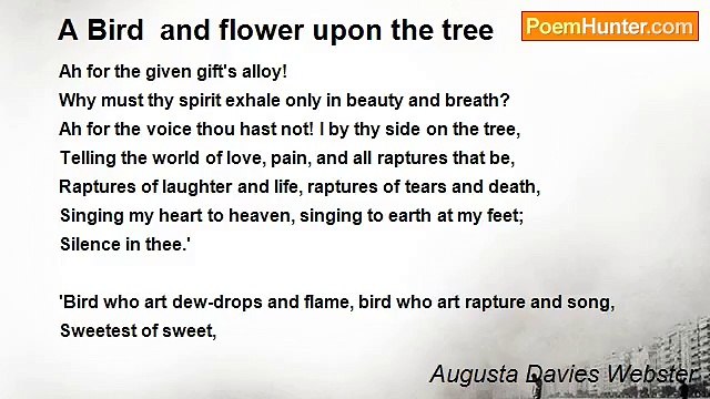Augusta Davies Webster - A Bird and flower upon the tree