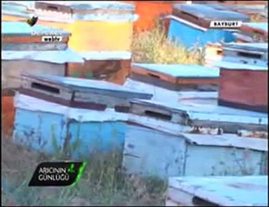 Bal Arıcılığı - Gümüşhane ve Bayburt Arıcıları, Bayburt Balı- 5. Bölüm