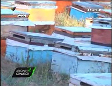 Bal Arıcılığı - Gümüşhane ve Bayburt Arıcıları, Bayburt Balı- 5. Bölüm