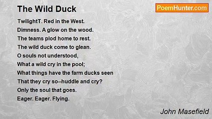 John Masefield - The Wild Duck