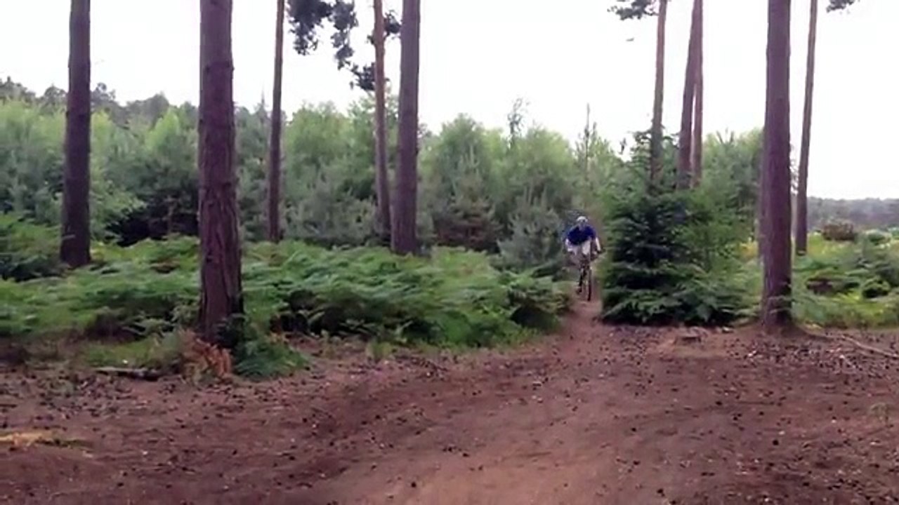 Fast hätte es geklappt