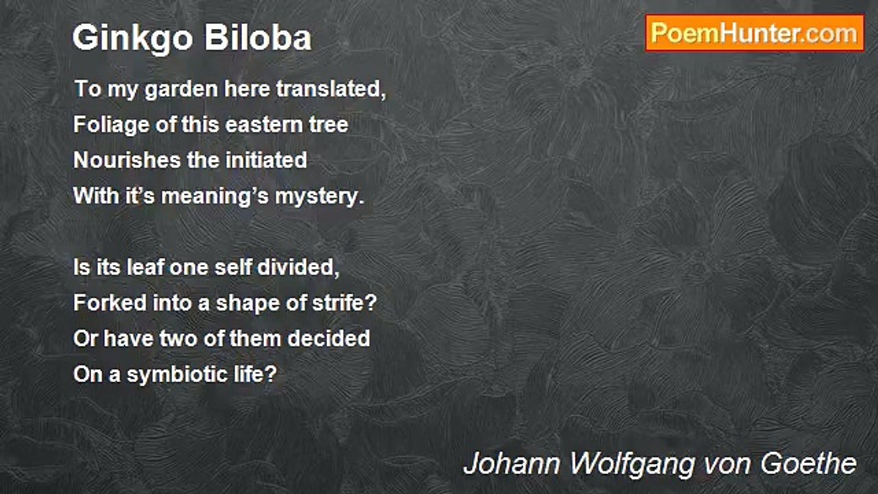 Johann Wolfgang von Goethe - Ginkgo Biloba