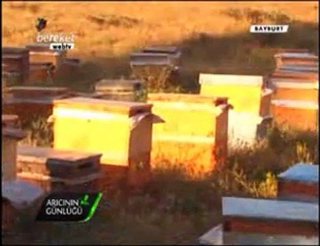 Bal Arıcılığı - Gümüşhane ve Bayburt Arıcıları, Bayburt Balı- 6. Bölüm