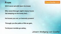 Johann Wolfgang von Goethe - From