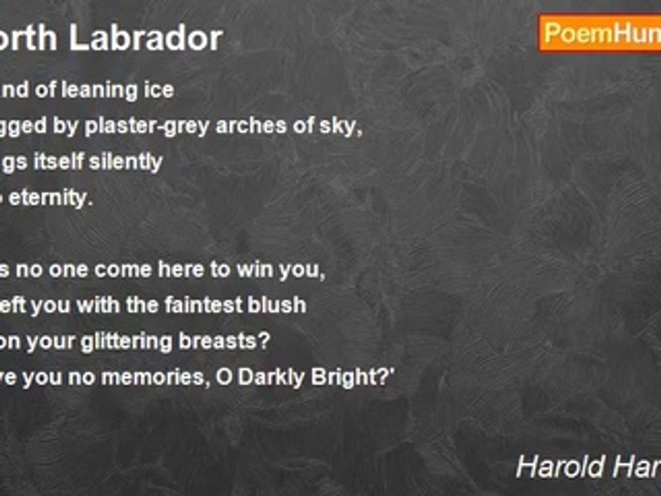 Harold Hart Crane - North Labrador