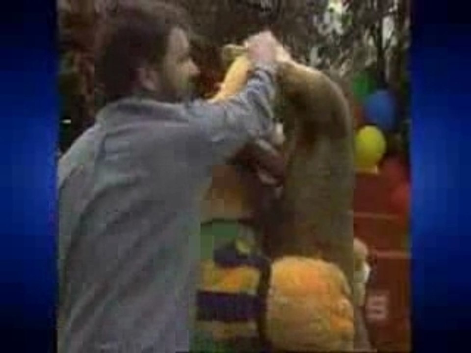 kangaroo show