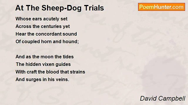 David Campbell - At The Sheep-Dog Trials