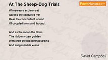 David Campbell - At The Sheep-Dog Trials
