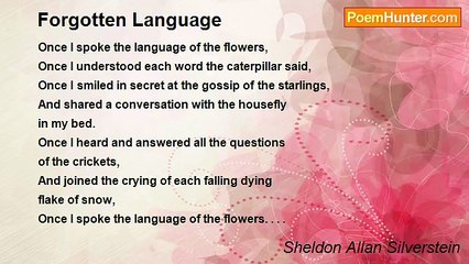 Sheldon Allan Silverstein - Forgotten Language