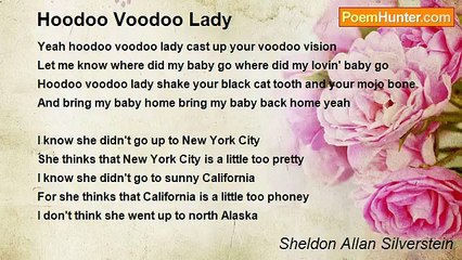 Sheldon Allan Silverstein - Hoodoo Voodoo Lady
