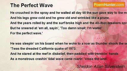 Sheldon Allan Silverstein - The Perfect Wave