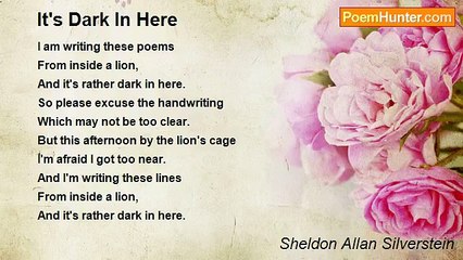 Sheldon Allan Silverstein - It's Dark In Here