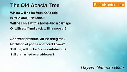 Hayyim Nahman Bialik - The Old Acacia Tree