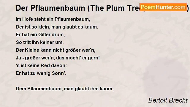 Bertolt Brecht - Der Pflaumenbaum (The Plum Tree, translation)