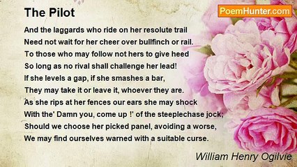 William Henry Ogilvie - The Pilot