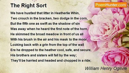 William Henry Ogilvie - The Right Sort