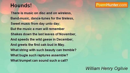 William Henry Ogilvie - Hounds!