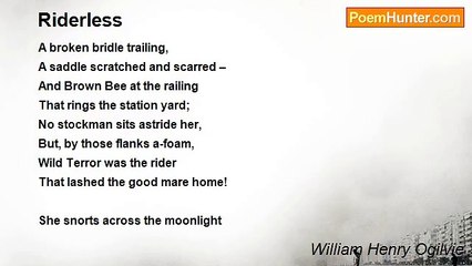 William Henry Ogilvie - Riderless