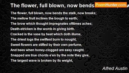 Alfred Austin - The flower, full blown, now bends the stalk, now breaks