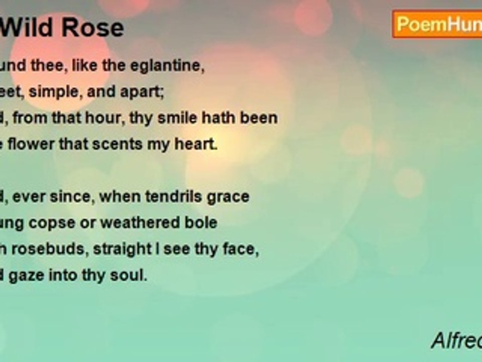 Alfred Austin - A Wild Rose