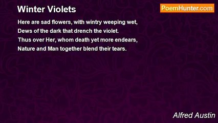Alfred Austin - Winter Violets