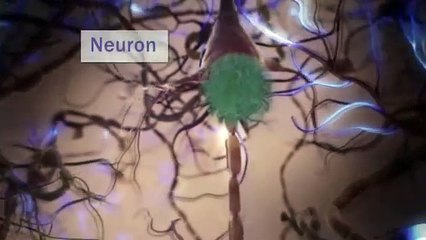 Understanding Alzheimer's Disease: Basic Facts You Need to Know 🧠