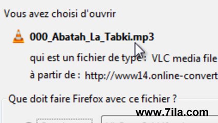 حول صيغ ملفات الصوت و الفيديو ... بدون برامج