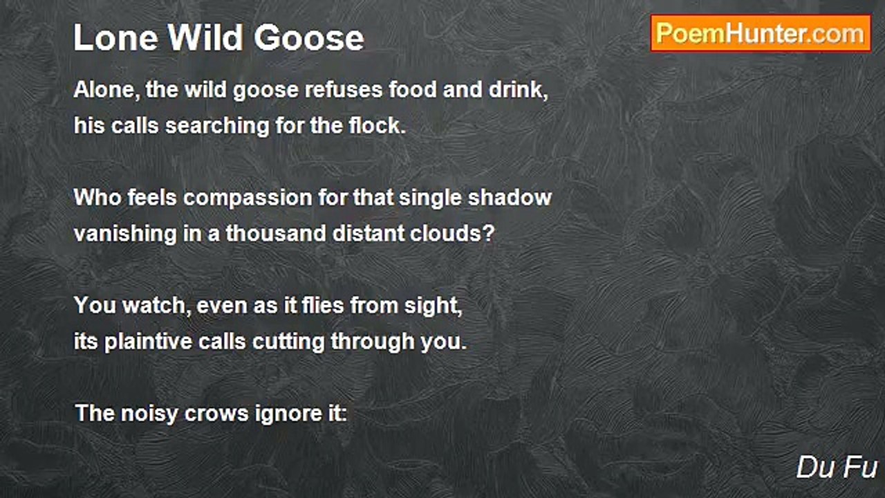 Du Fu - Lone Wild Goose