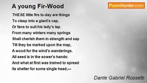 Dante Gabriel Rossetti - A young Fir-Wood