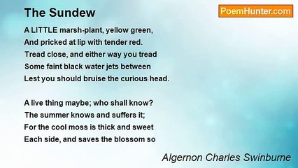 Algernon Charles Swinburne - The Sundew