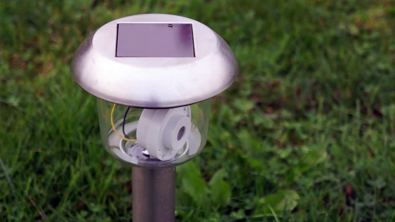 FIAC Hors les murs au Jardin des Plantes : Bug's Life