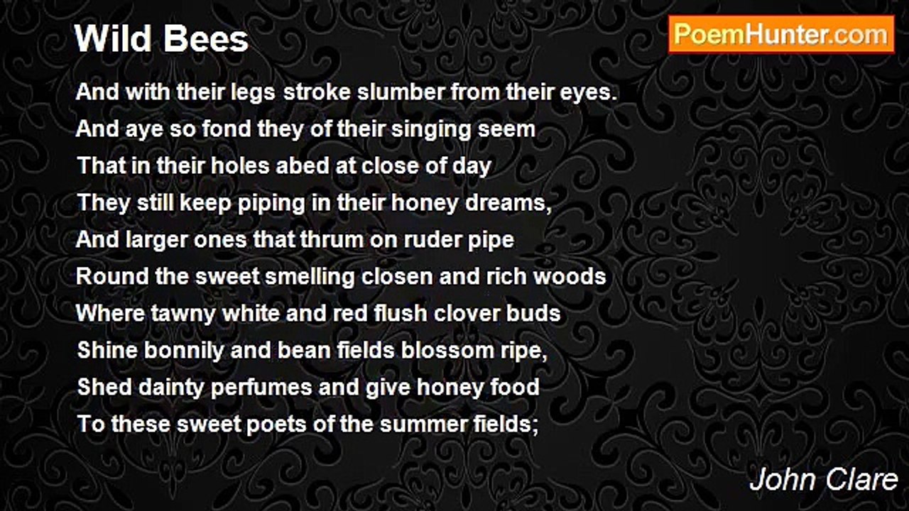 John Clare - Wild Bees