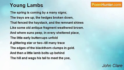 John Clare - Young Lambs