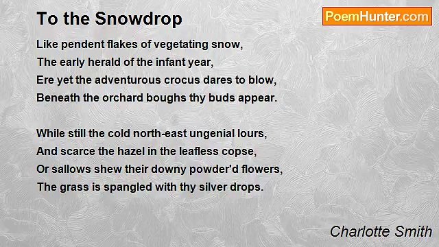 Charlotte Smith - To the Snowdrop
