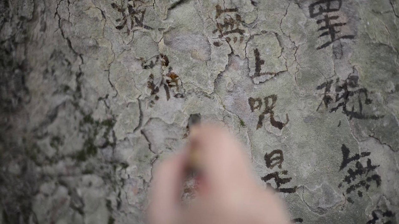 FIAC Hors les murs au Jardin des Plantes : Plane Tree Mantra