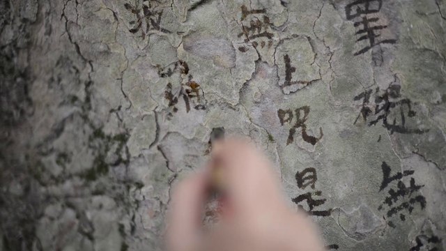 FIAC Hors les murs au Jardin des Plantes : Plane Tree Mantra