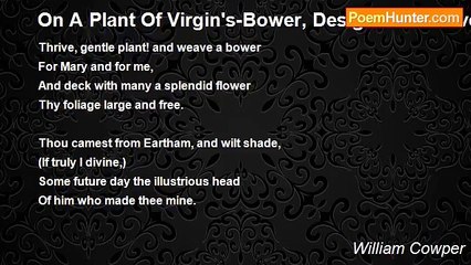 William Cowper - On A Plant Of Virgin's-Bower, Designed To Cover A Garden-seat