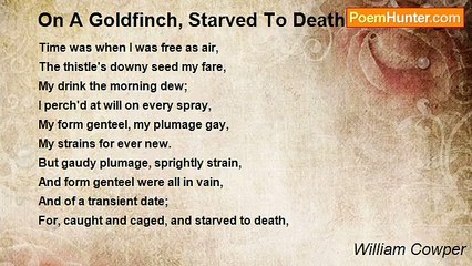 William Cowper - On A Goldfinch, Starved To Death In His Cage