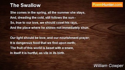 William Cowper - The Swallow